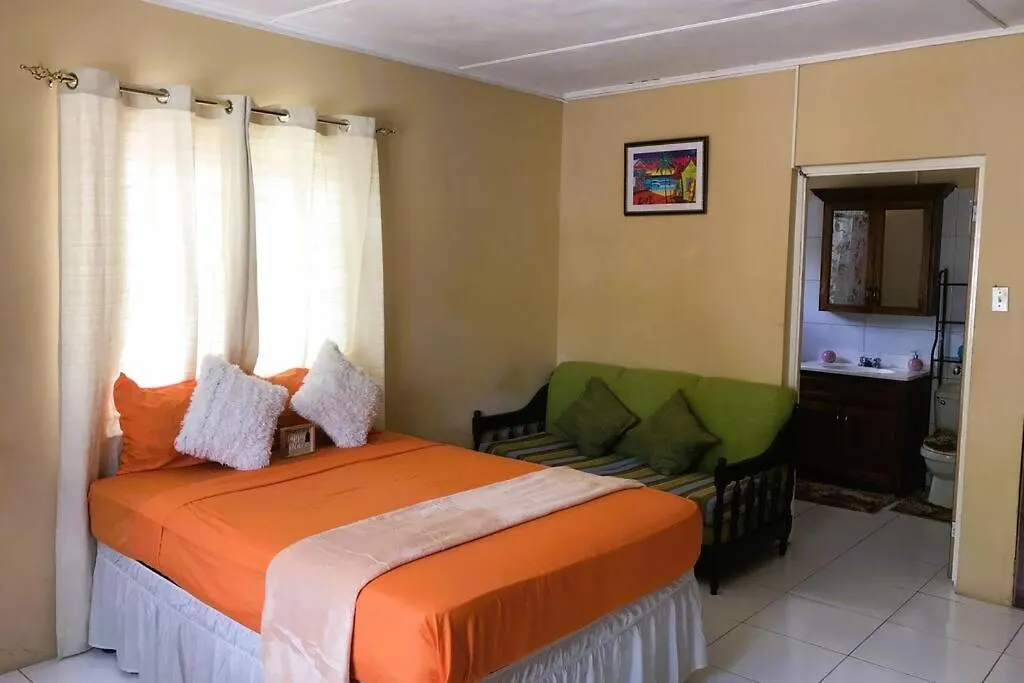 Studio In The Hills Of Ocho Rios Apartman