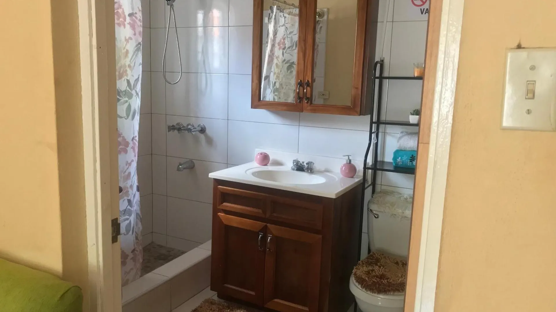 Studio In The Hills Of Ocho Rios Apartman Jamaica