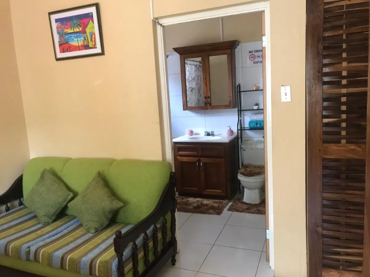 Studio In The Hills Of Ocho Rios Apartment